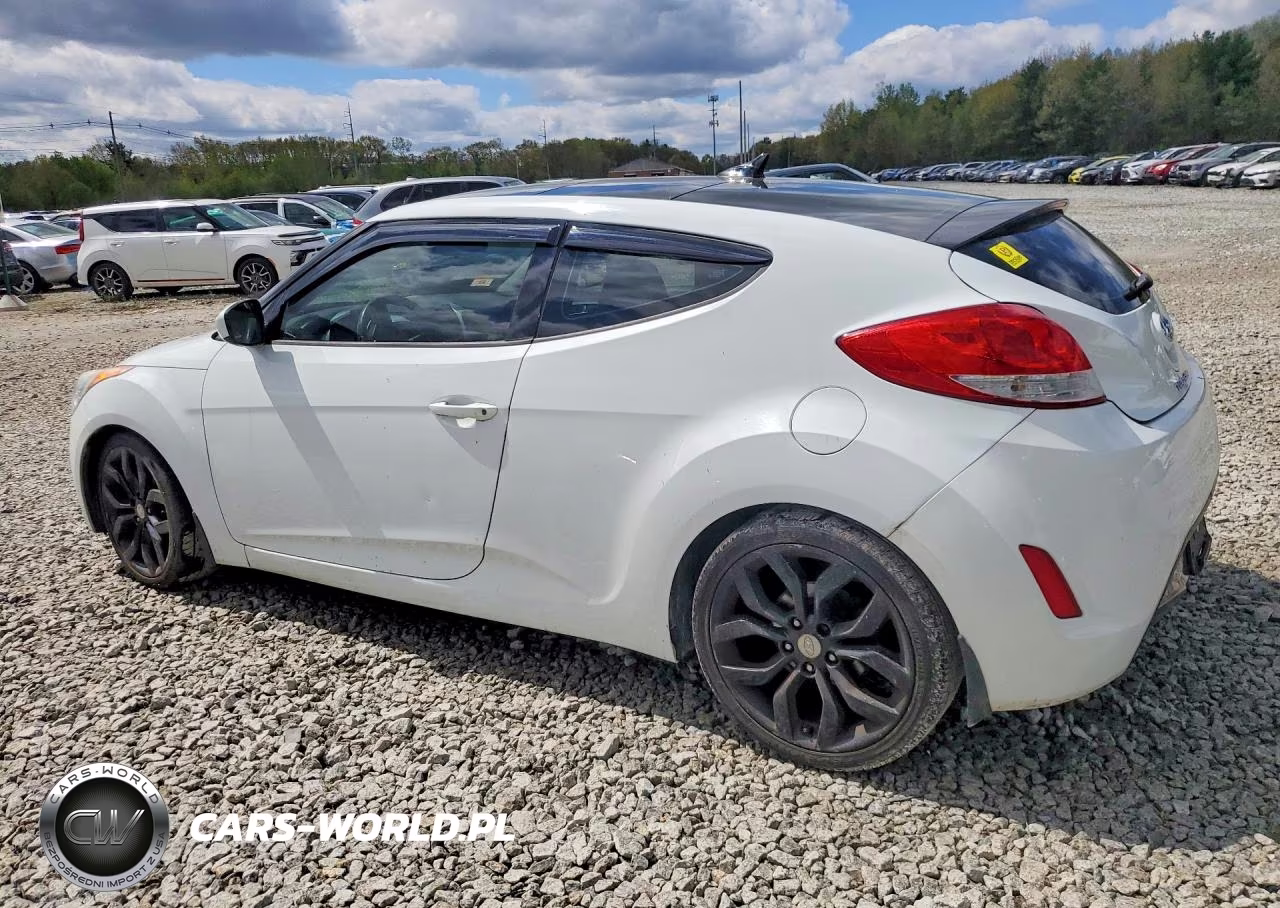 2013 Hyundai Veloster Base VIN:KMHTC6AD7DU094476 - 2