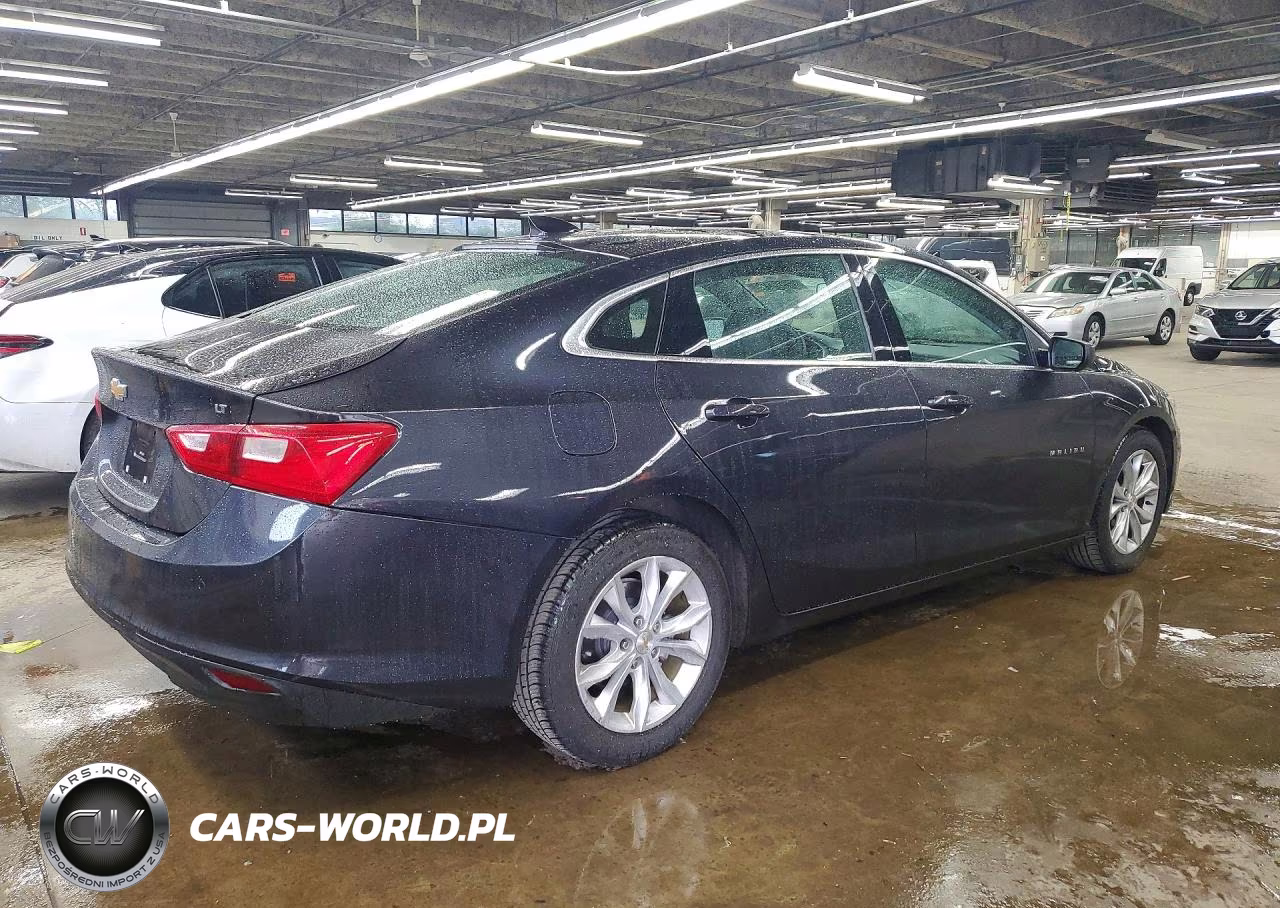 2023 Chevrolet Malibu Lt VIN:1G1ZD5ST2PF194191 - 3
