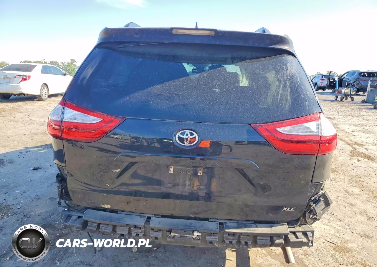2019 Toyota Sienna Xle 8-Passenger VIN:5TDYZ3DCXKS968301 - 6