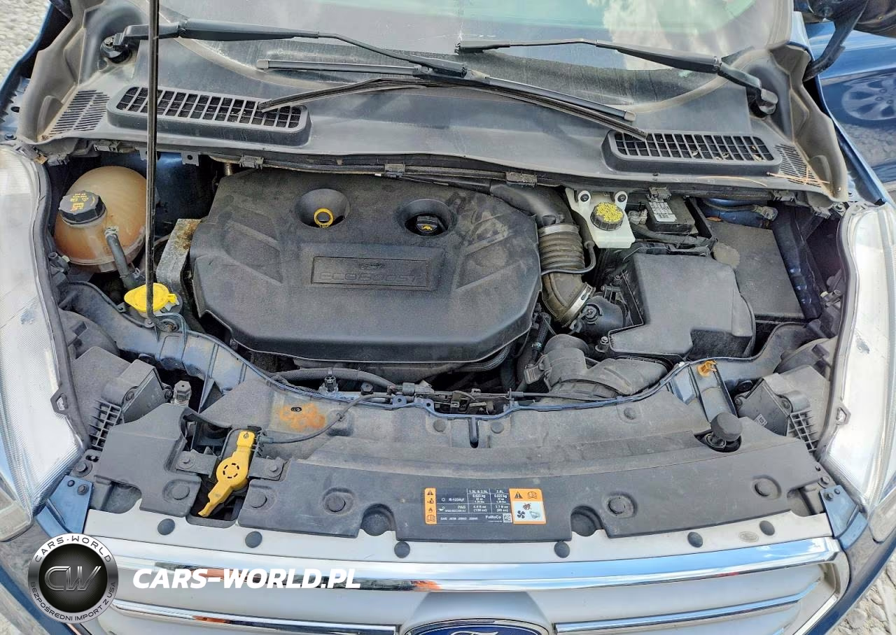 2018 Ford Escape Titanium VIN:1FMCU9J90JUC79488 - 12