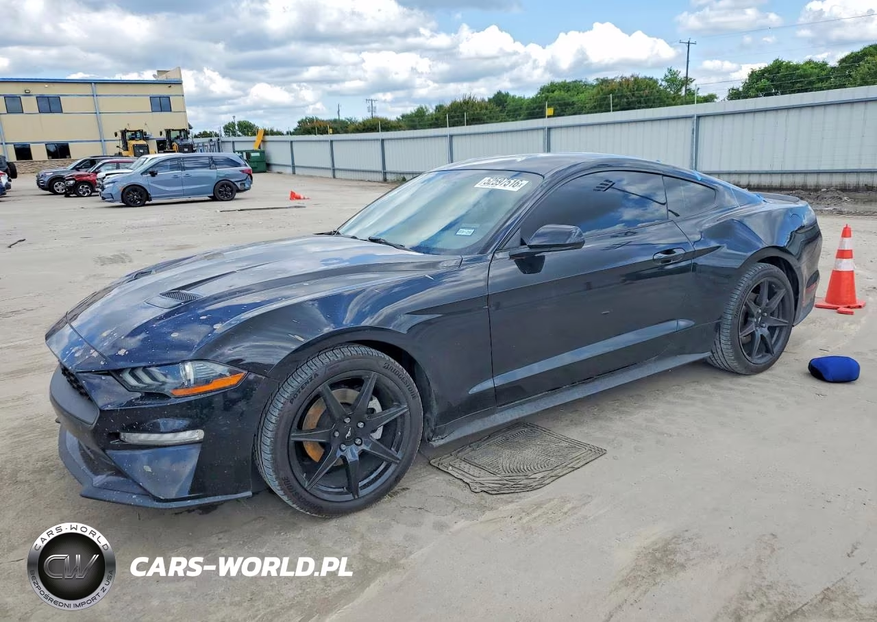2019 Ford Mustang