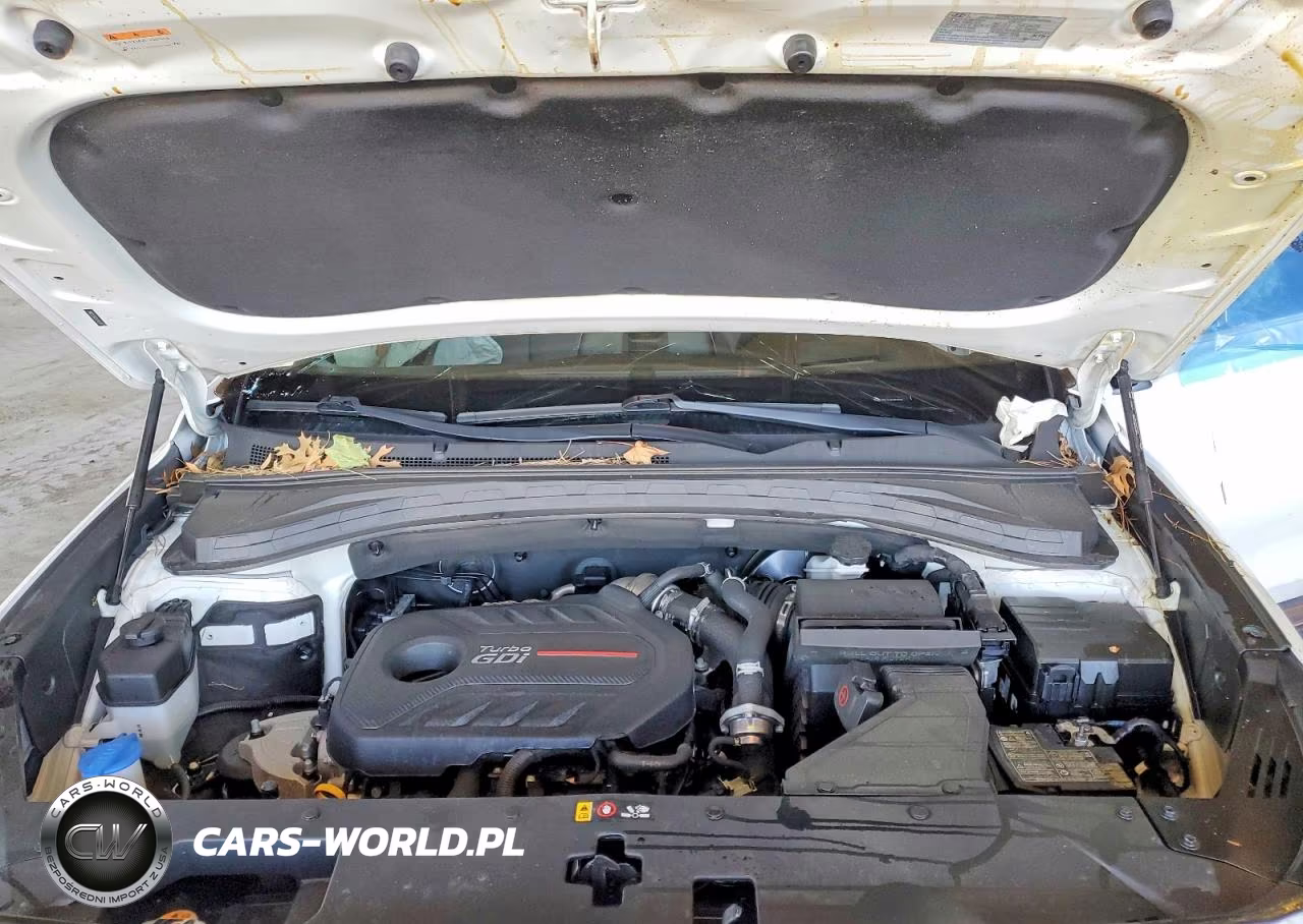 2020 Hyundai Santa Fe Limited 2.0T VIN:5NMS5CAA3LH246760 - 12
