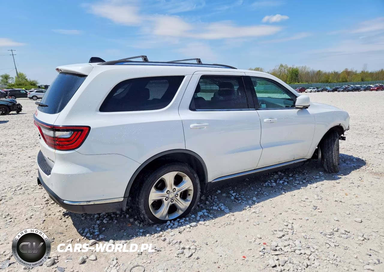 2014 Dodge Durango Limited VIN:1C4SDJDT4EC318295 - 3