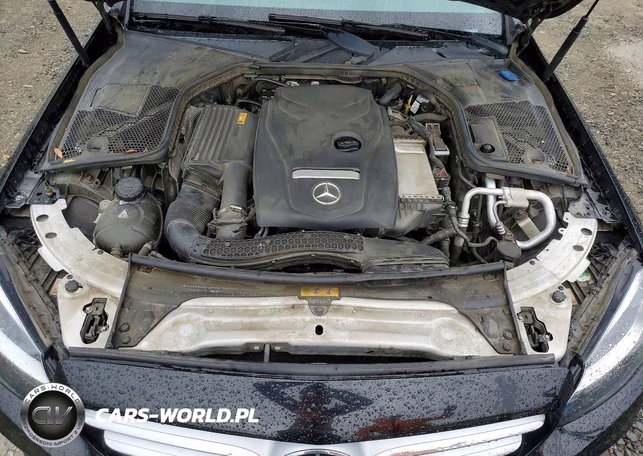 2018 Mercedes-Benz C 300 VIN:55SWF4JBXJU254297 - 11
