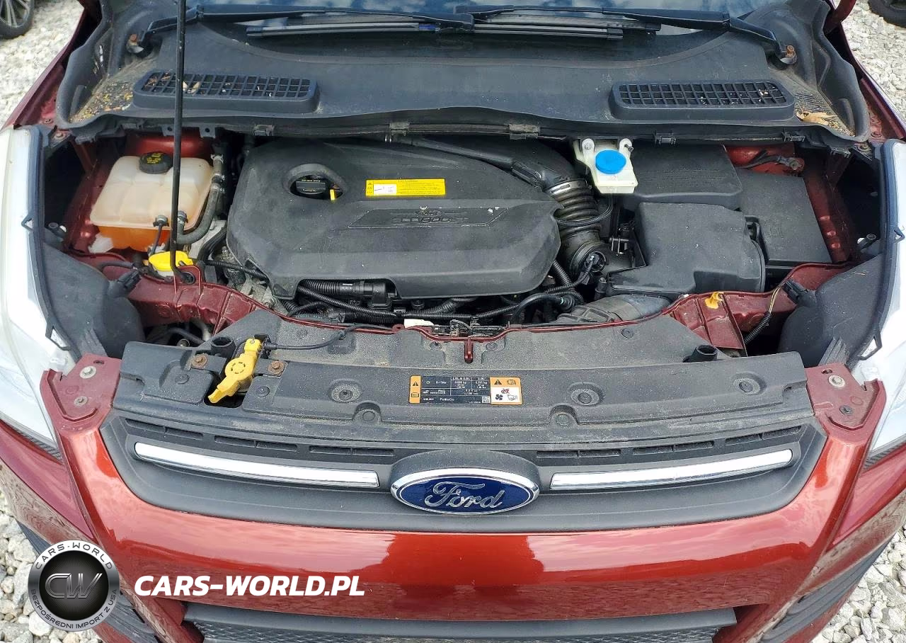 2014 Ford Escape Se VIN:1FMCU0GX3EUC52647 - 12