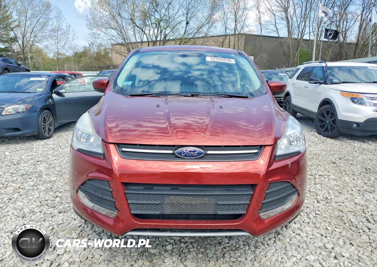 2014 Ford Escape Se VIN:1FMCU0GX3EUC52647 - 5