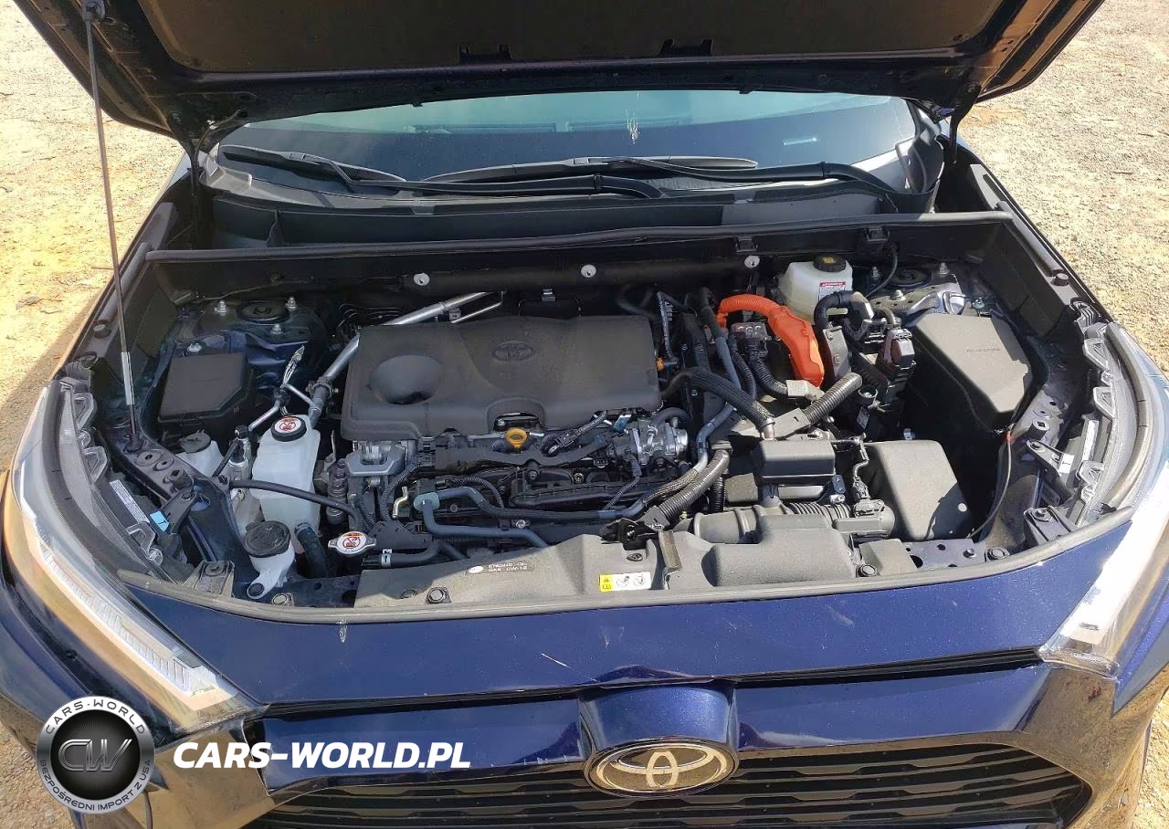 2025 Toyota Rav4 Hybrid Xle VIN:4T3RWRFV9SU189016 - 12