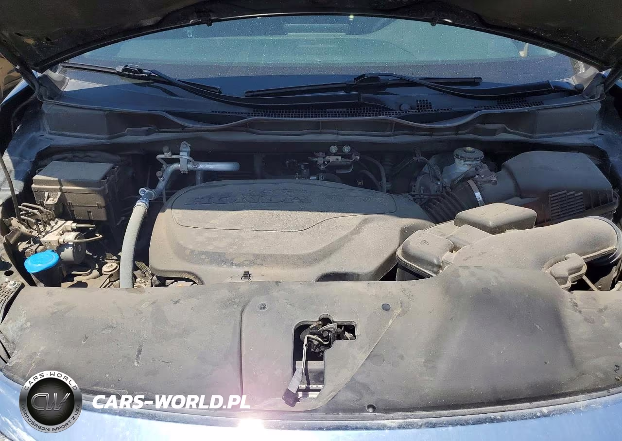 2024 Honda Odyssey Elite VIN:5FNRL6H98RB014084 - 11