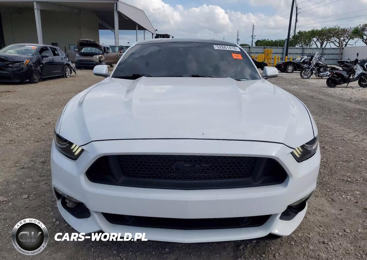 2015 Ford Mustang Gt VIN:1FA6P8CF3F5434290 - 5