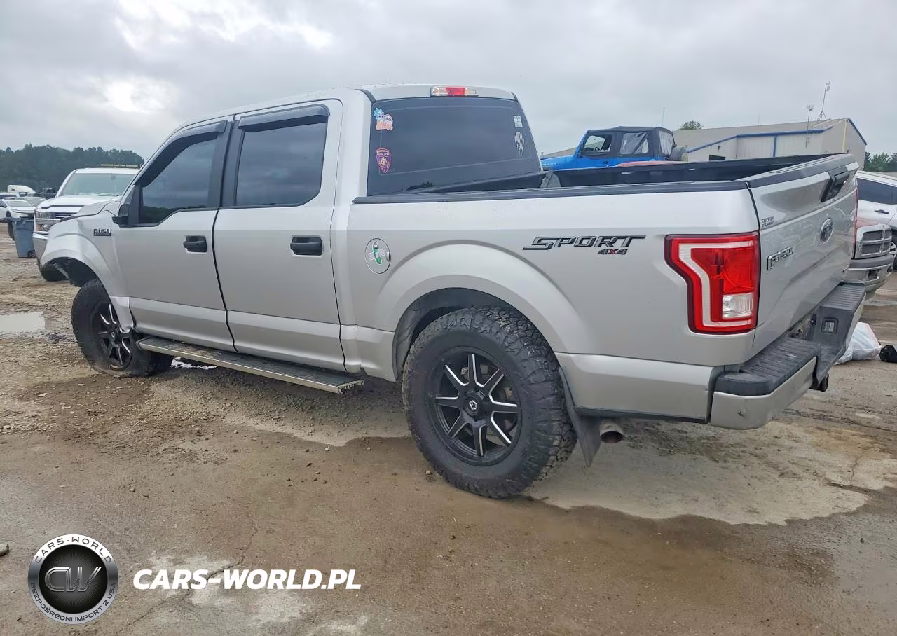 2016 Ford F150 Supercrew VIN:1FTEW1E89GFB22081 - 2