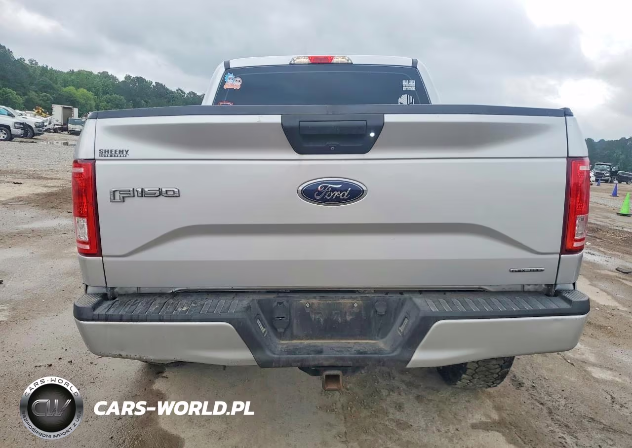 2016 Ford F150 Supercrew VIN:1FTEW1E89GFB22081 - 6
