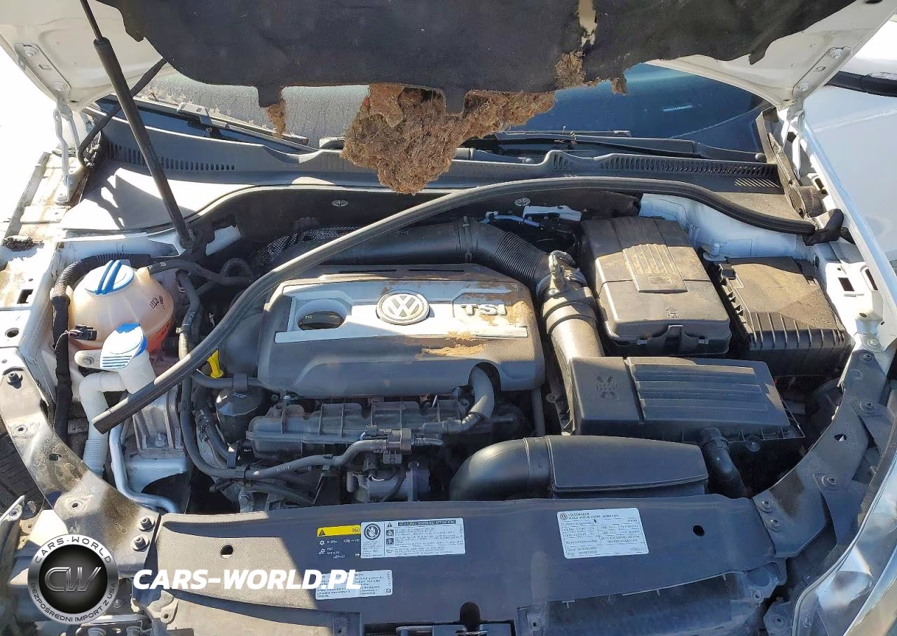 2014 Volkswagen Gti VIN:WVWHD7AJ8EW004230 - 11
