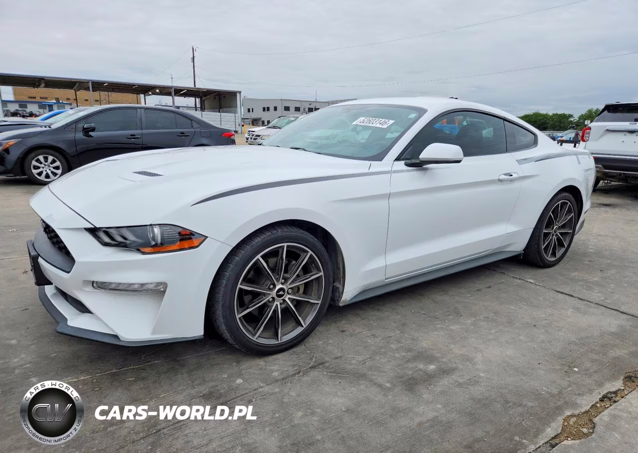 2019 Ford Mustang