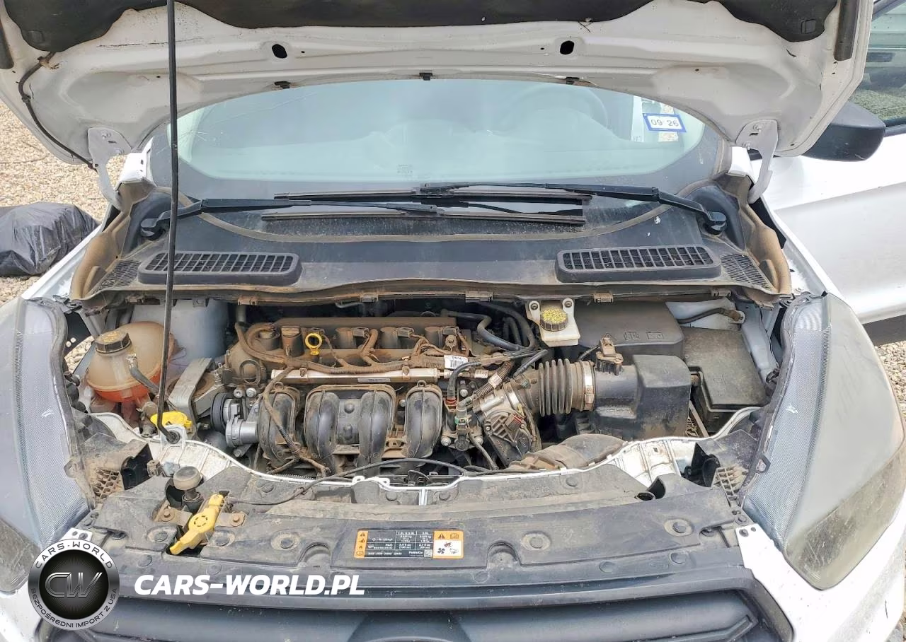 2019 Ford Escape S VIN:1FMCU0F71KUB56982 - 12