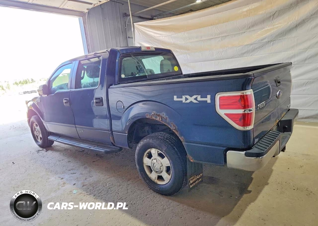 2013 Ford F-150 VIN:1FTFW1EF0DKD12163 - 2