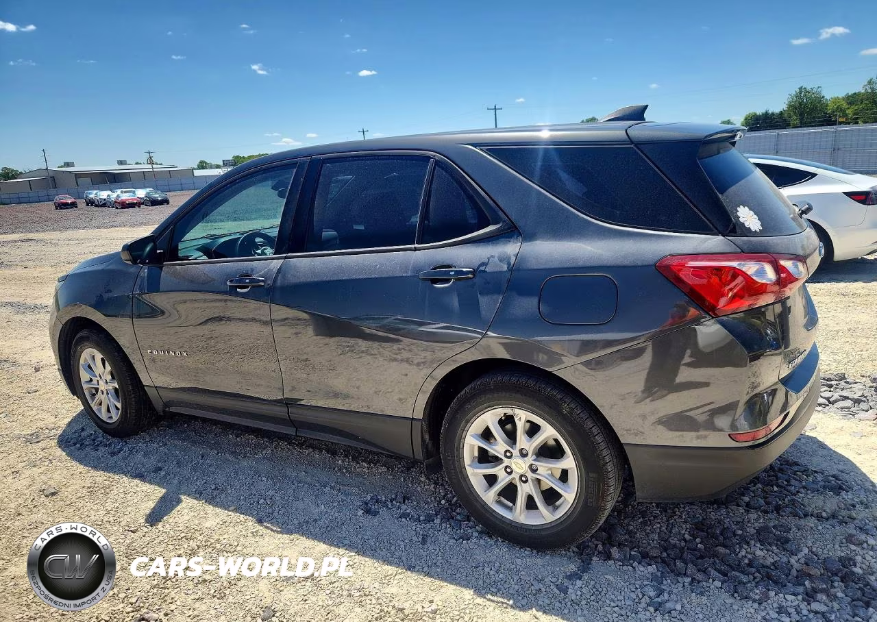2019 Chevrolet Equinox Ls VIN:3GNAXHEV9KS653450 - 2
