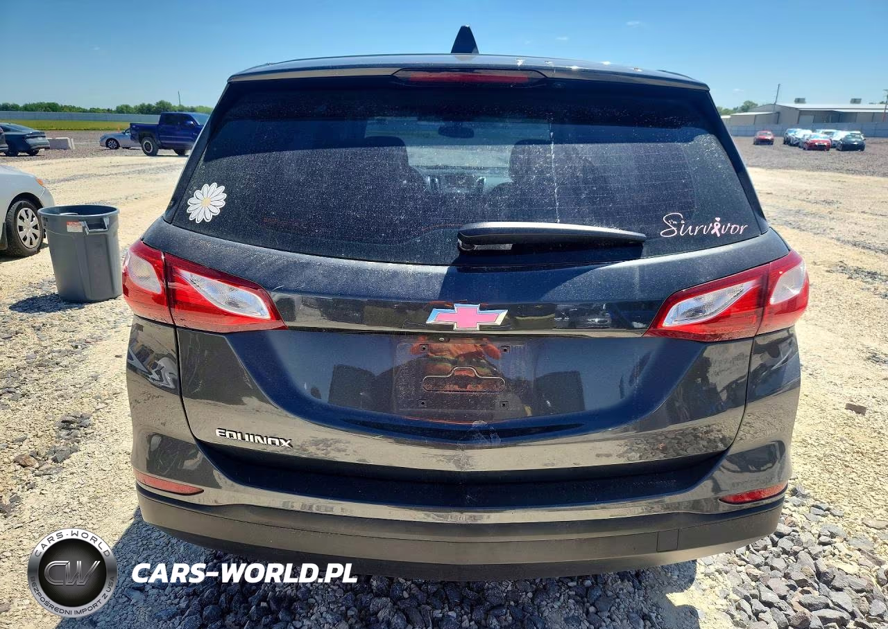 2019 Chevrolet Equinox Ls VIN:3GNAXHEV9KS653450 - 6