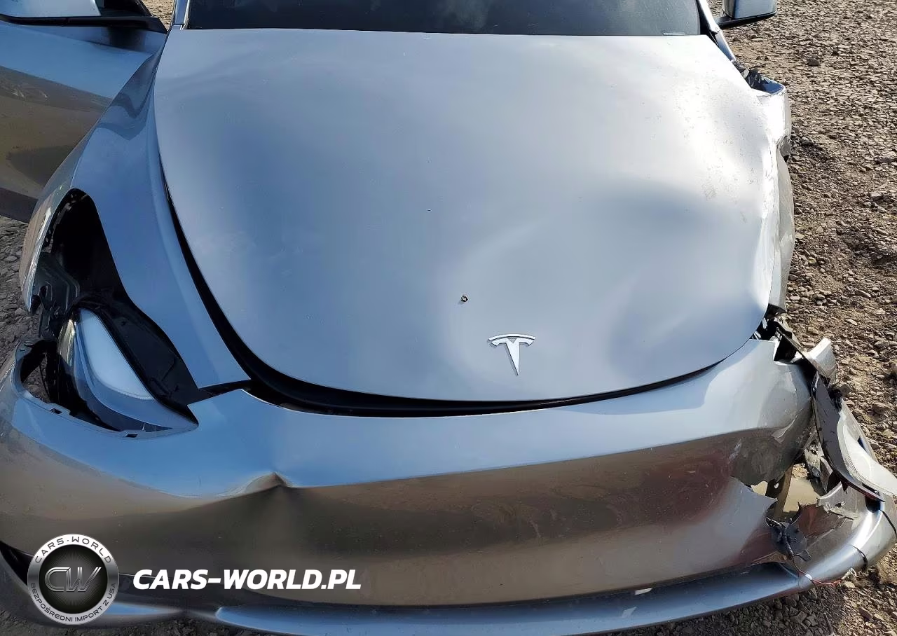 2024 Tesla Model Y VIN:7SAYGDEE1RA301014 - 11