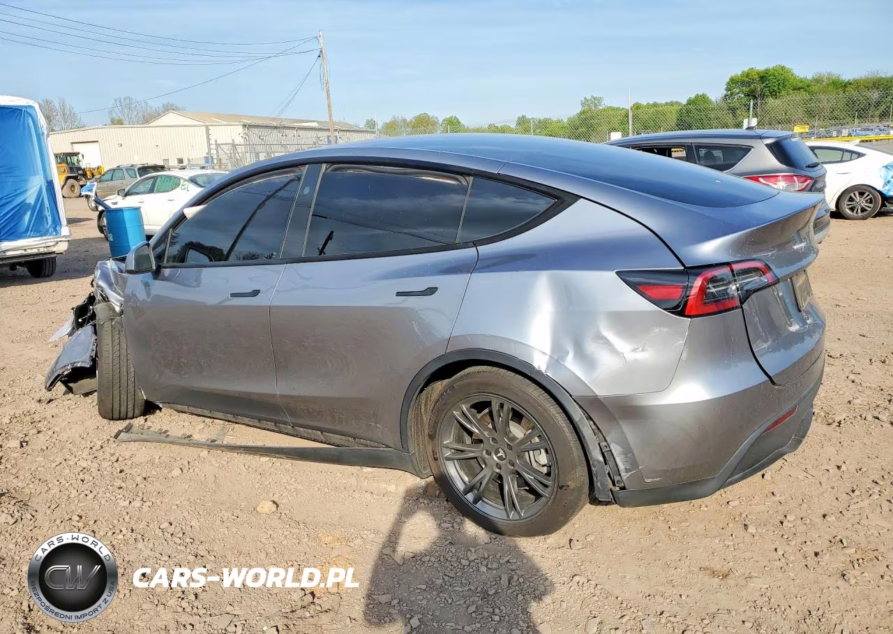 2024 Tesla Model Y VIN:7SAYGDEE1RA301014 - 2