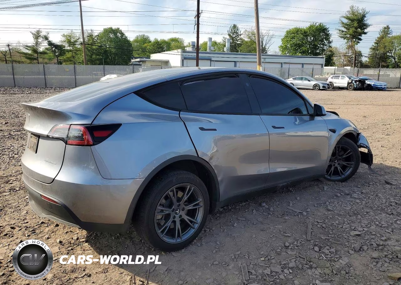 2024 Tesla Model Y VIN:7SAYGDEE1RA301014 - 3