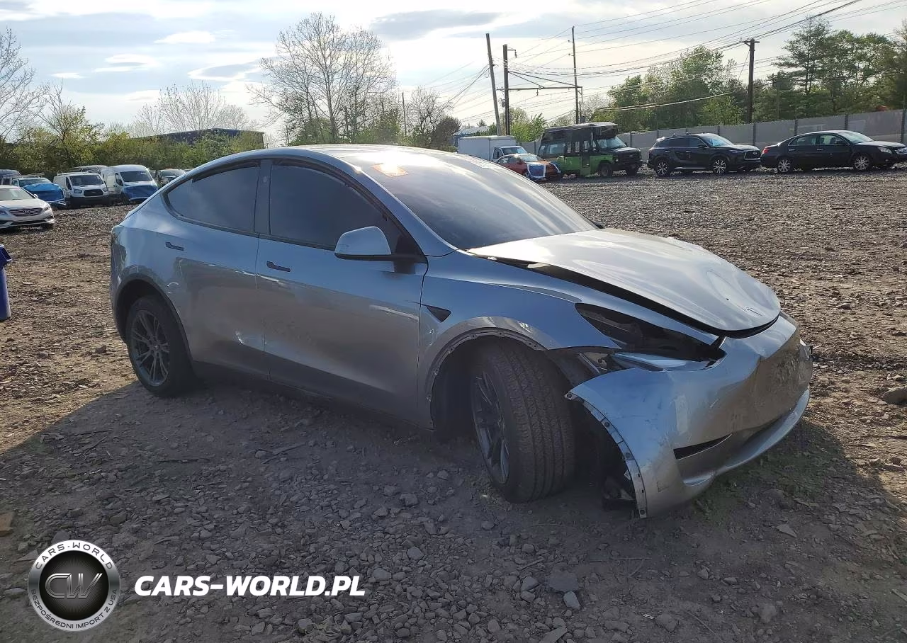 2024 Tesla Model Y VIN:7SAYGDEE1RA301014 - 4