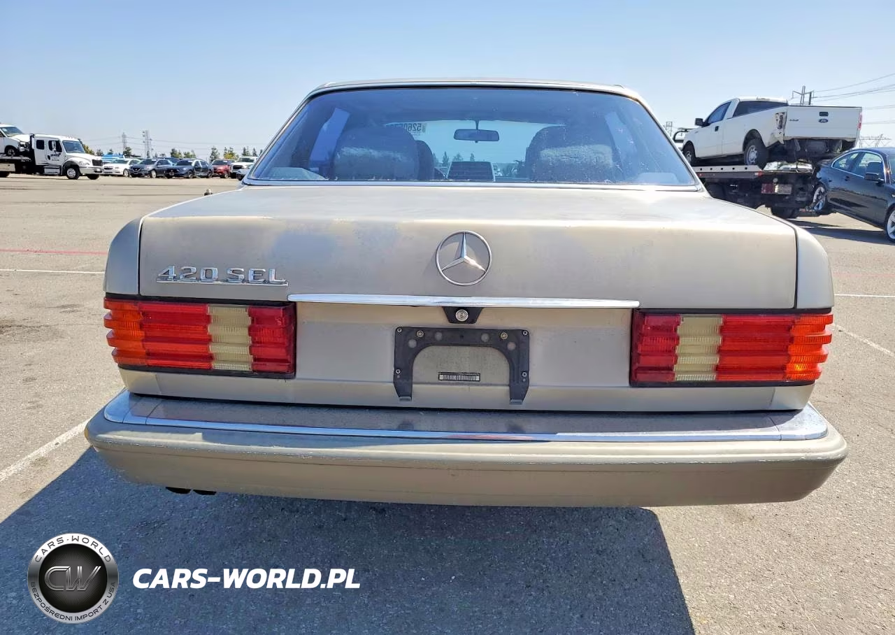 1991 Mercedes-Benz 420 Sel VIN:WDBCA35E5MA606716 - 6