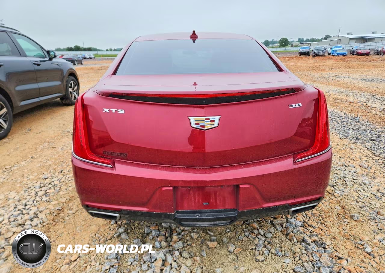 2019 Cadillac Xts Luxury VIN:2G61M5S32K9121072 - 6