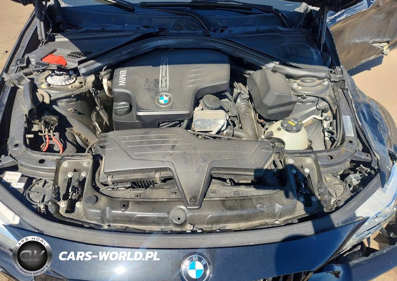 2014 BMW 428 Xi VIN:WBA3N9C54EK245113 - 11