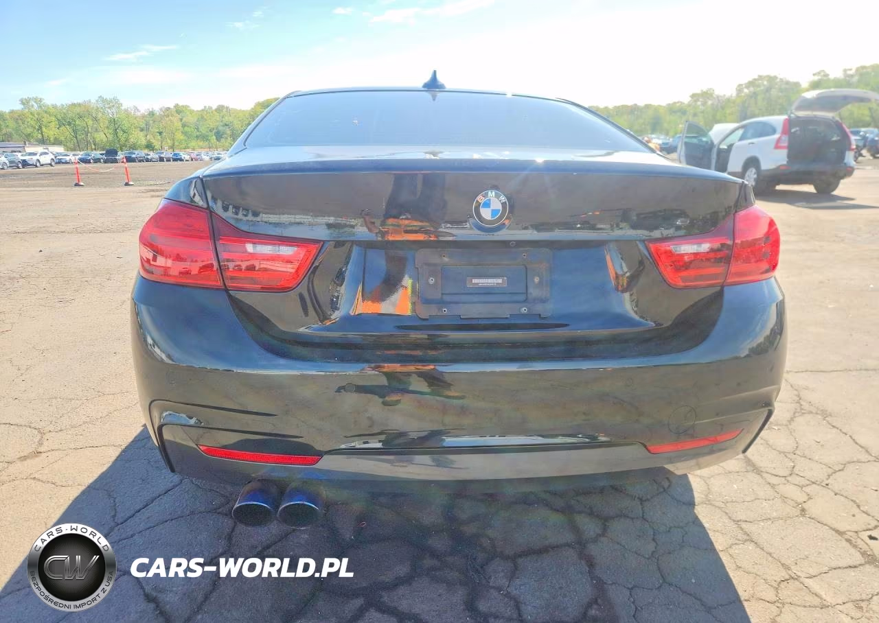 2014 BMW 428 Xi VIN:WBA3N9C54EK245113 - 6