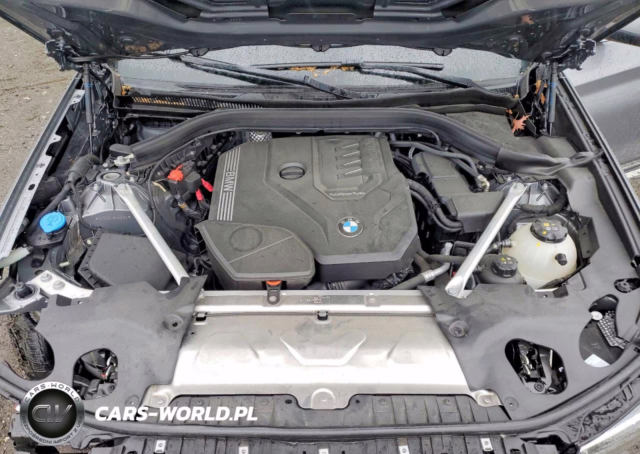 2023 BMW X3 xDrive30I VIN:5UX53DP05P9S88354 - 12
