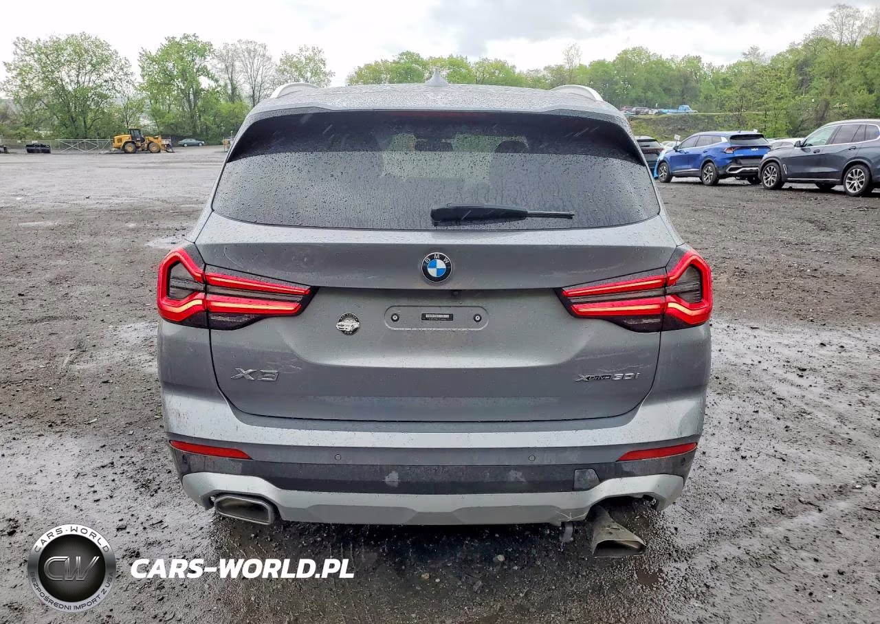 2023 BMW X3 xDrive30I VIN:5UX53DP05P9S88354 - 6