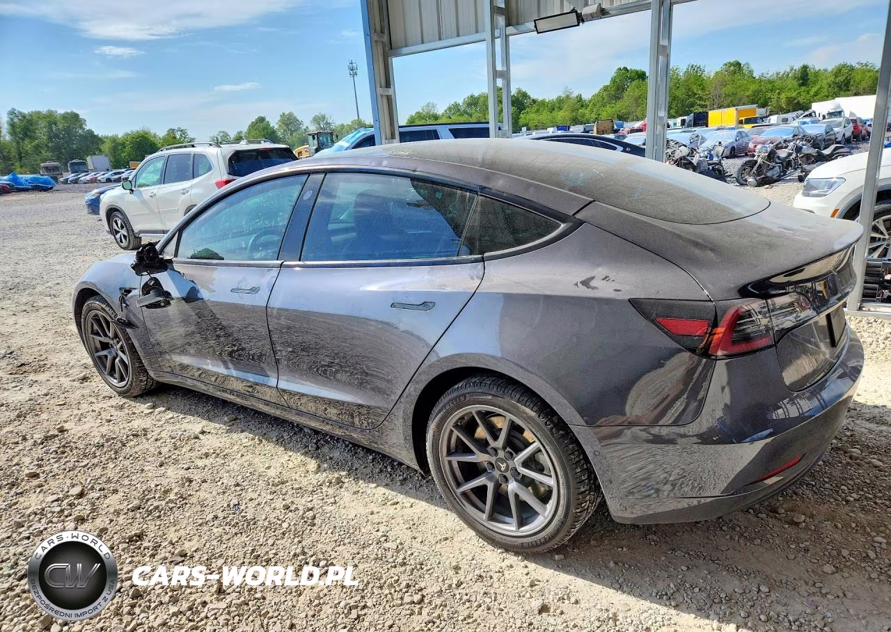 2021 Tesla Model 3 VIN:5YJ3E1EB2MF044099 - 2