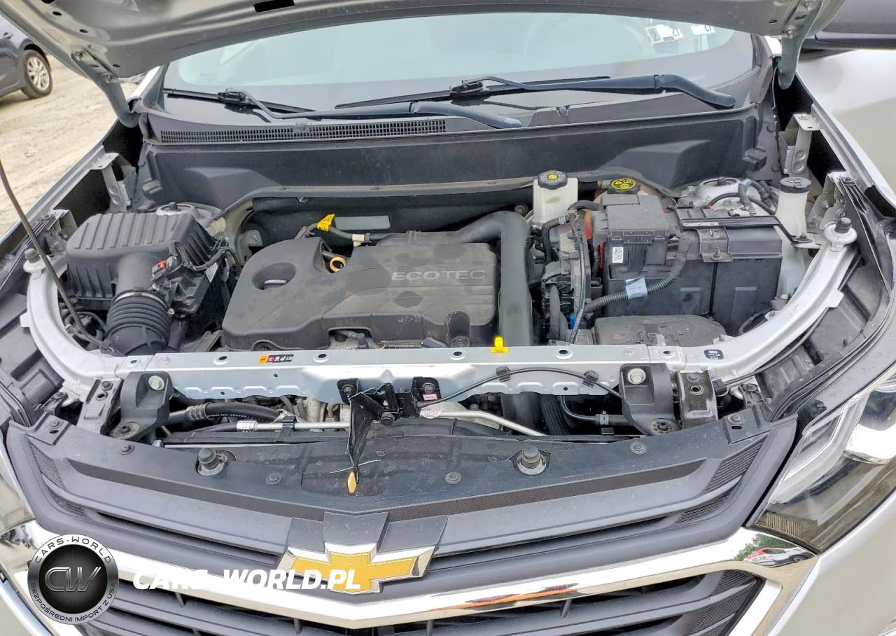 2019 Chevrolet Equinox Ls VIN:2GNAXSEV2K6136258 - 12