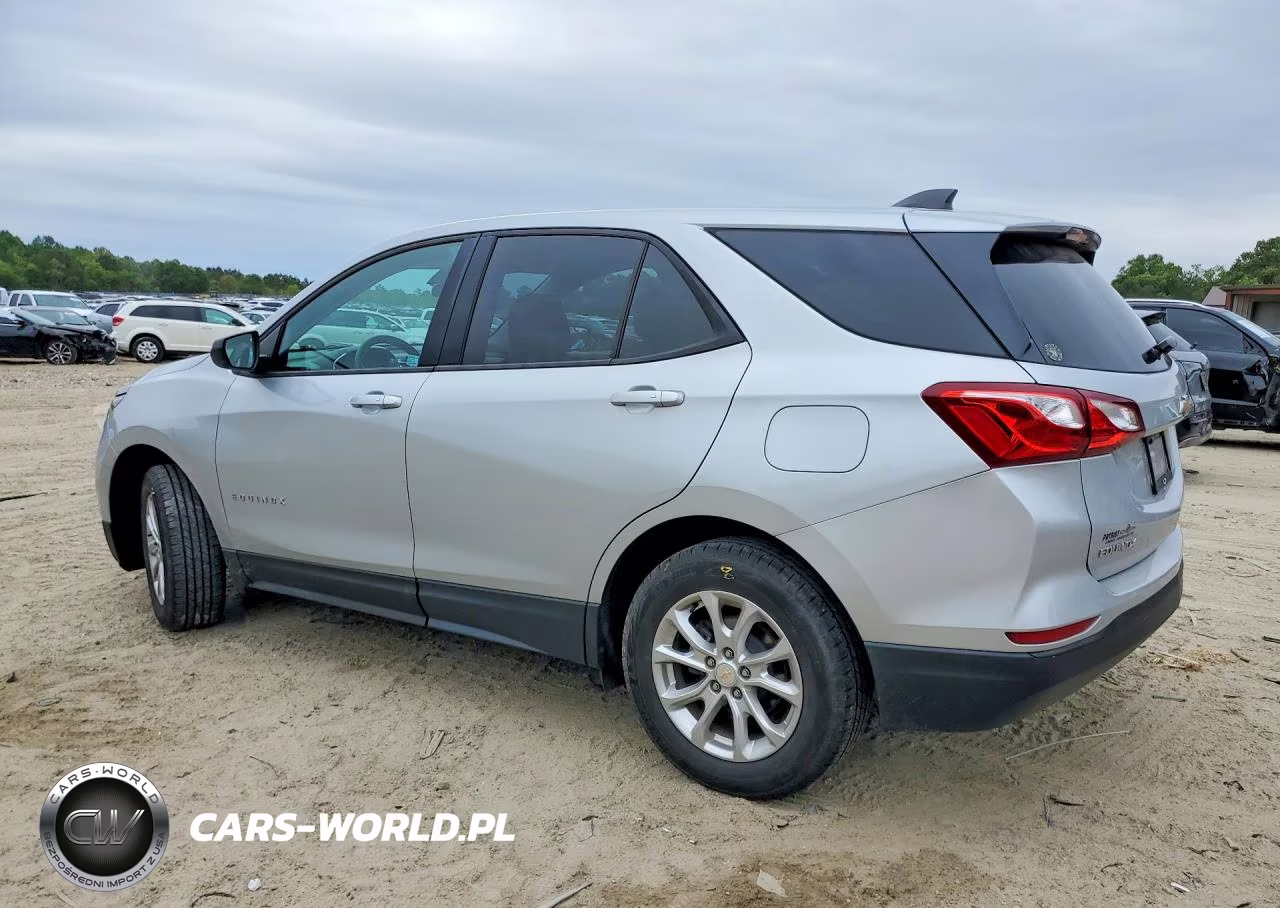 2019 Chevrolet Equinox Ls VIN:2GNAXSEV2K6136258 - 2