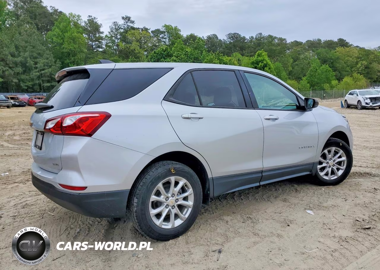 2019 Chevrolet Equinox Ls VIN:2GNAXSEV2K6136258 - 3