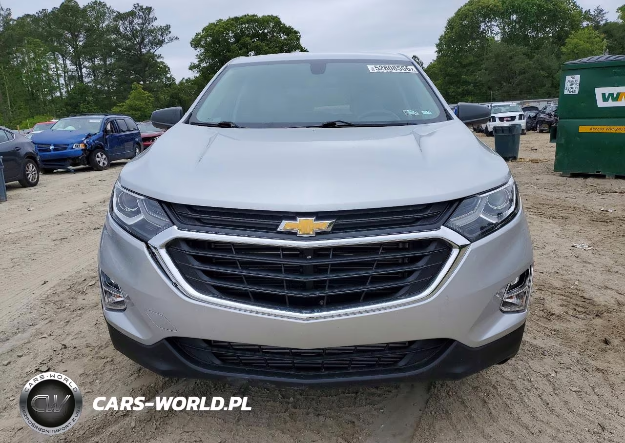 2019 Chevrolet Equinox Ls VIN:2GNAXSEV2K6136258 - 5