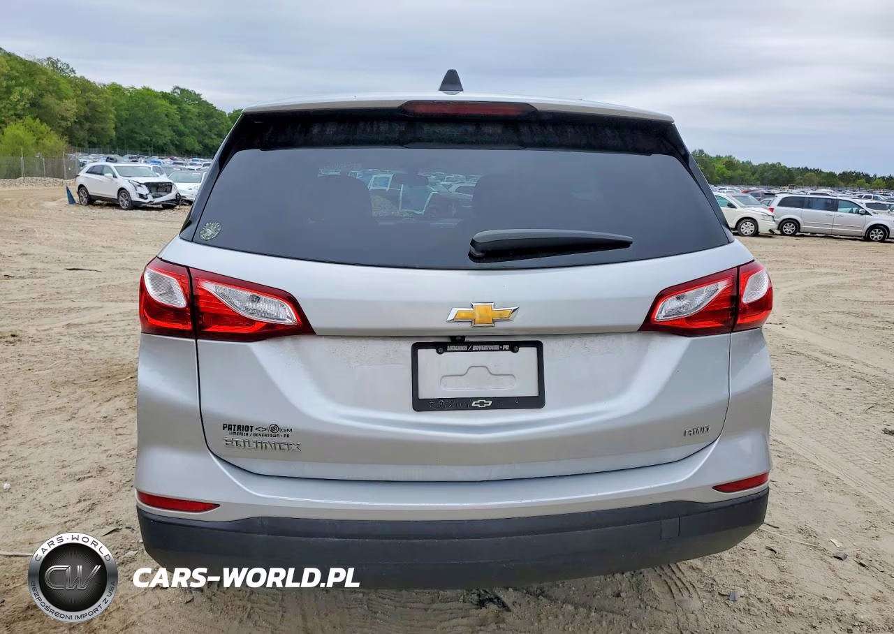2019 Chevrolet Equinox Ls VIN:2GNAXSEV2K6136258 - 6
