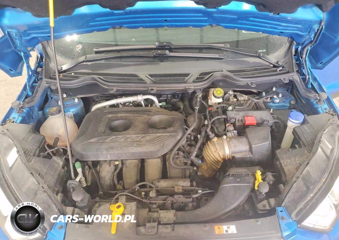 2019 Ford Ecosport Se VIN:MAJ6S3GL9KC280062 - 11