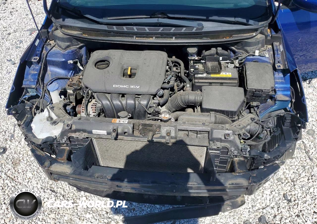 2017 Kia Forte Lx VIN:3KPFK4A70HE160289 - 11