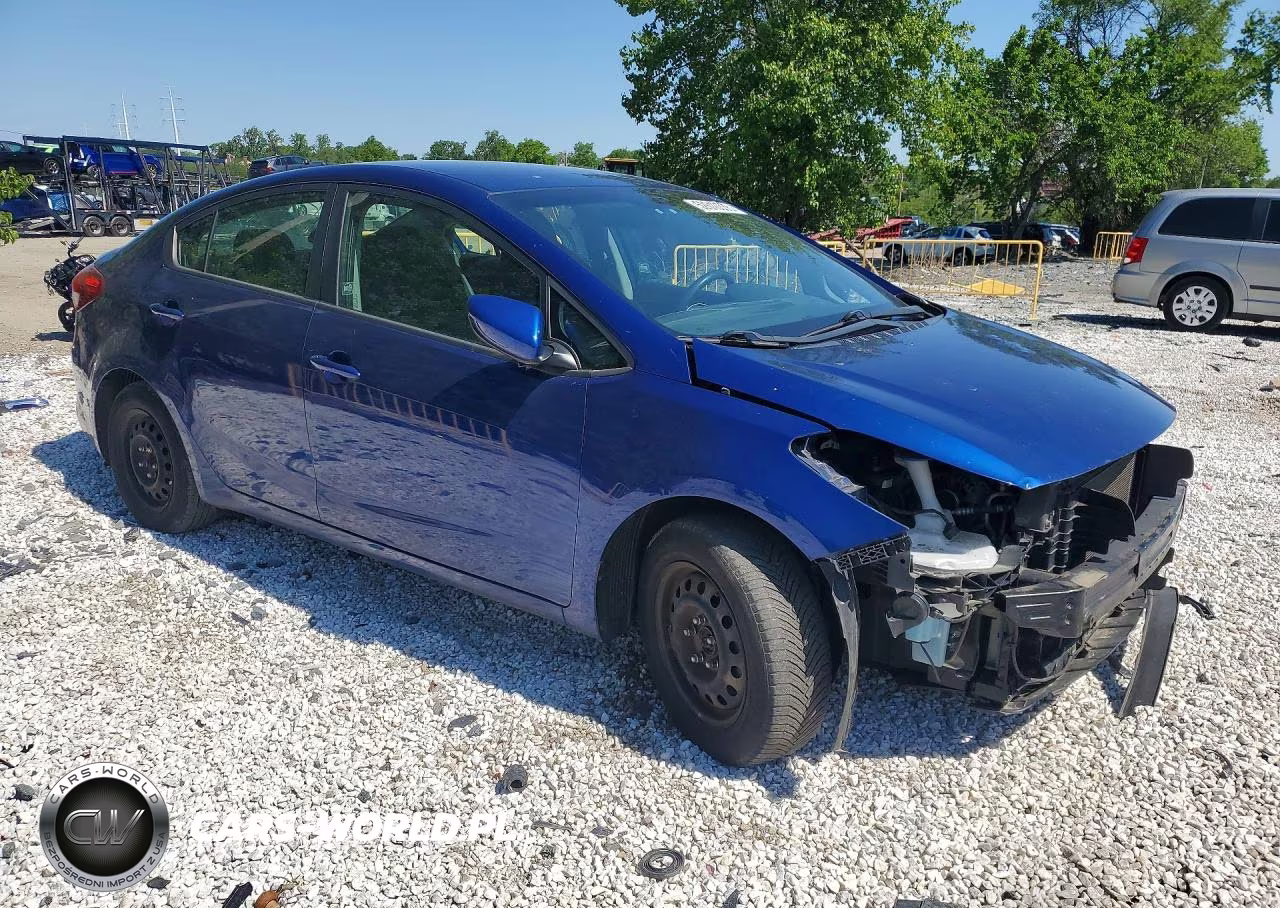 2017 Kia Forte Lx VIN:3KPFK4A70HE160289 - 4