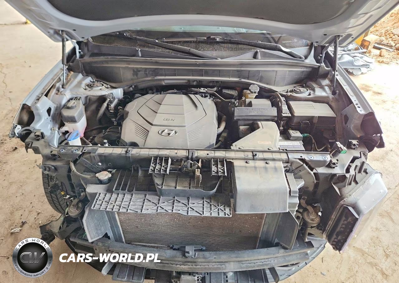 2023 Hyundai Palisade Calligraphy VIN:KM8R74GEXPU512102 - 12