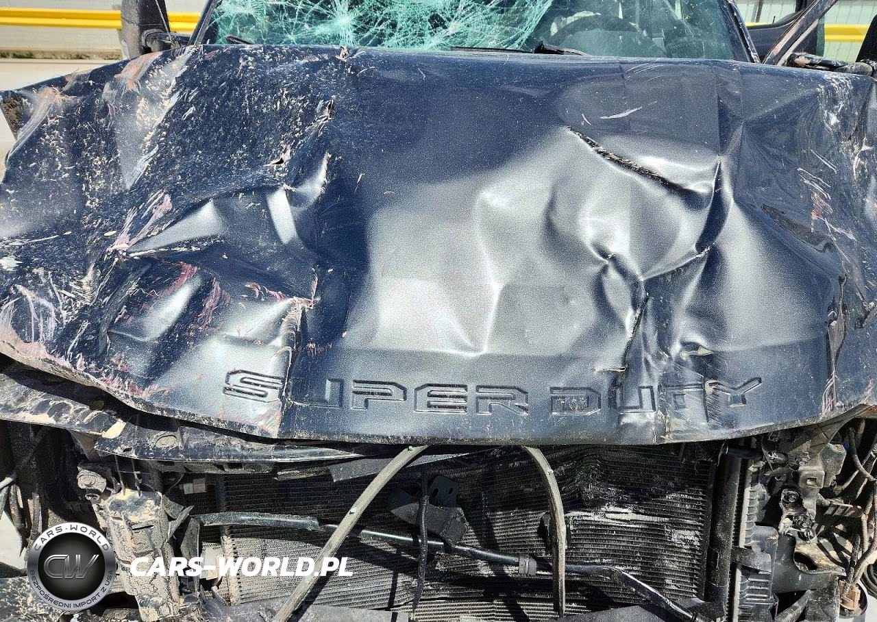 2019 Ford F250 Super Duty VIN:1FT7W2BT4KEG19965 - 11