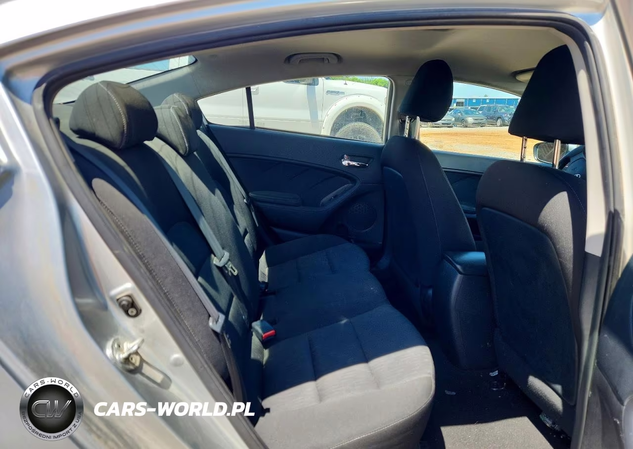 2014 Kia Forte Lx VIN:KNAFK4A67E5193415 - 10