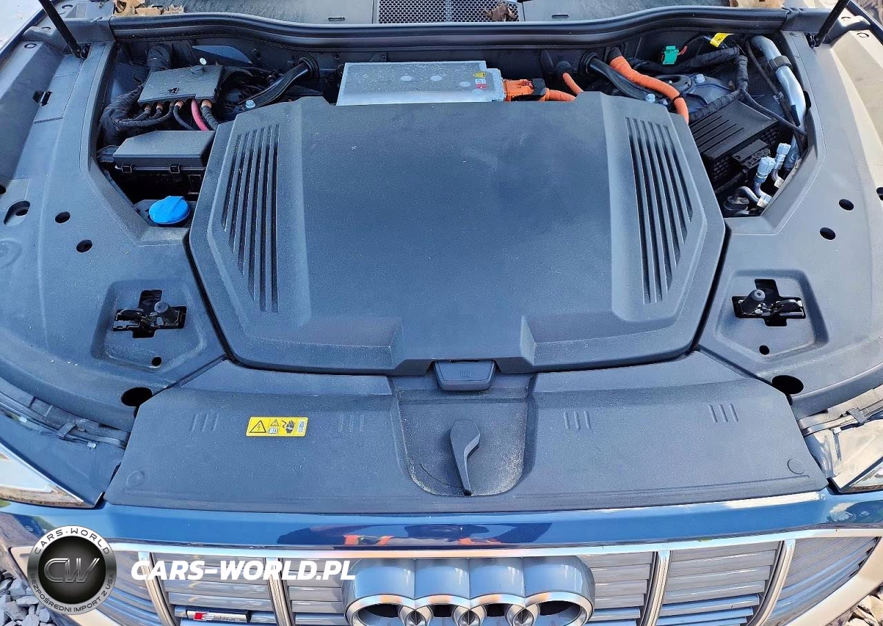 2021 Audi E-Tron Sportback Premium Plus VIN:WA12AAGE1MB022137 - 12