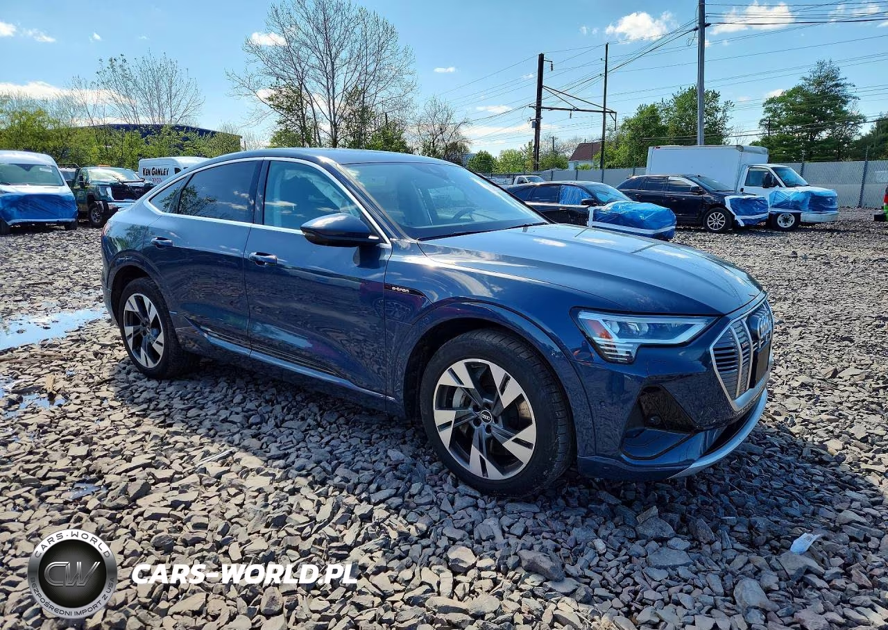 2021 Audi E-Tron Sportback Premium Plus VIN:WA12AAGE1MB022137 - 4