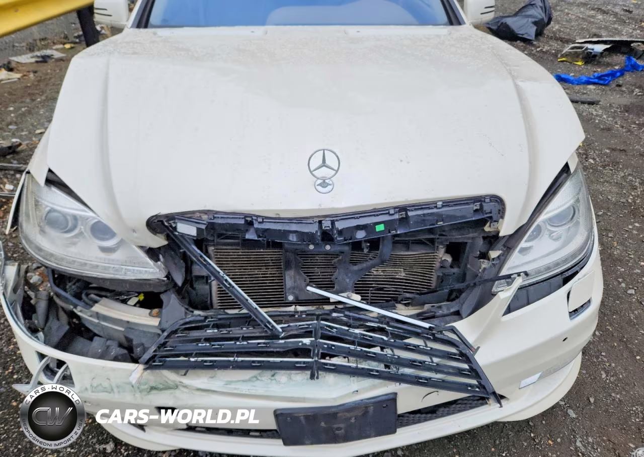 2010 Mercedes-Benz S 550 4Matic VIN:WDDNG8GB3AA316193 - 11