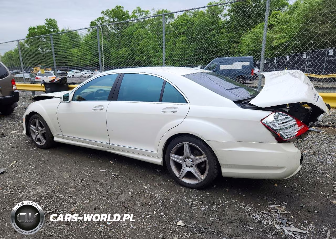 2010 Mercedes-Benz S 550 4Matic VIN:WDDNG8GB3AA316193 - 2
