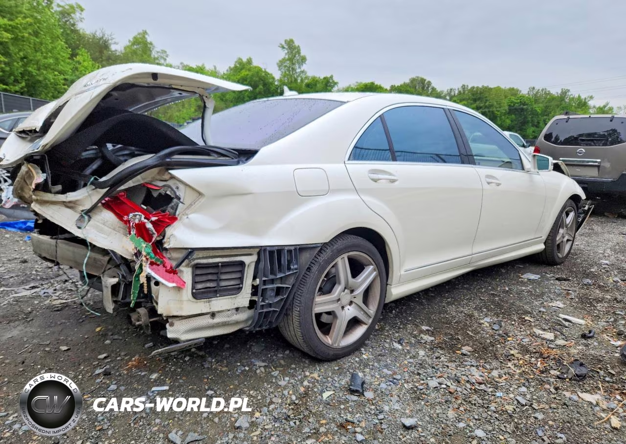 2010 Mercedes-Benz S 550 4Matic VIN:WDDNG8GB3AA316193 - 3