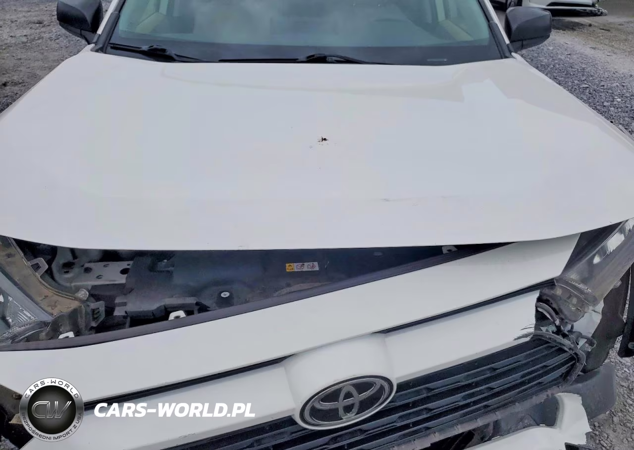 2019 Toyota Rav4 Le VIN:JTMH1RFVXKJ006943 - 11