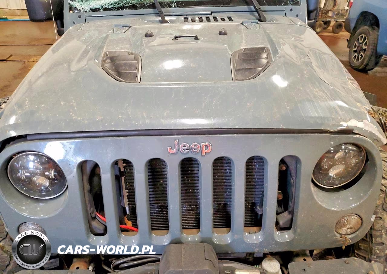2014 Jeep Wrangler Unlimited Rubicon VIN:1C4HJWFG8EL119153 - 12